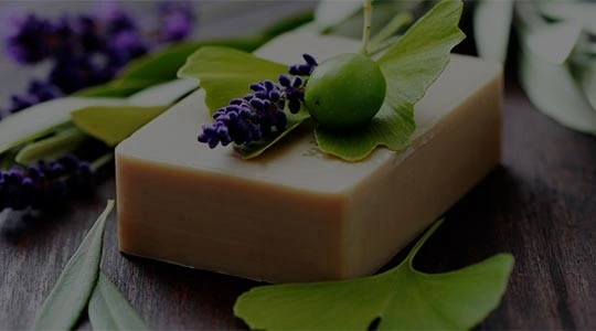 Rejuvenate your skin with green tea